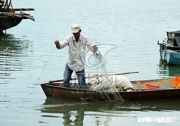 最近草鱼不进食，偶尔会死一两条不知什么原因