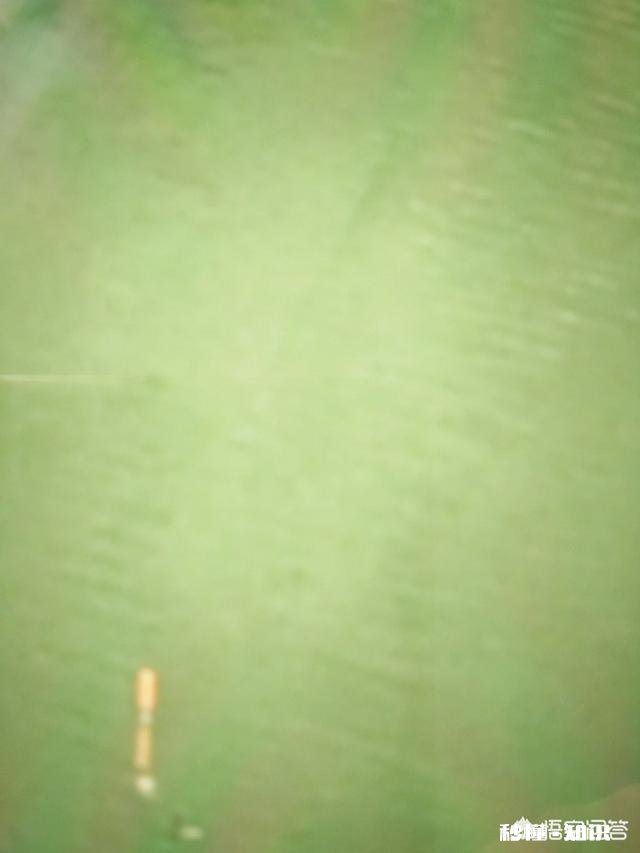 钓到的鱼您是送人呢还是做成美味给家人吃