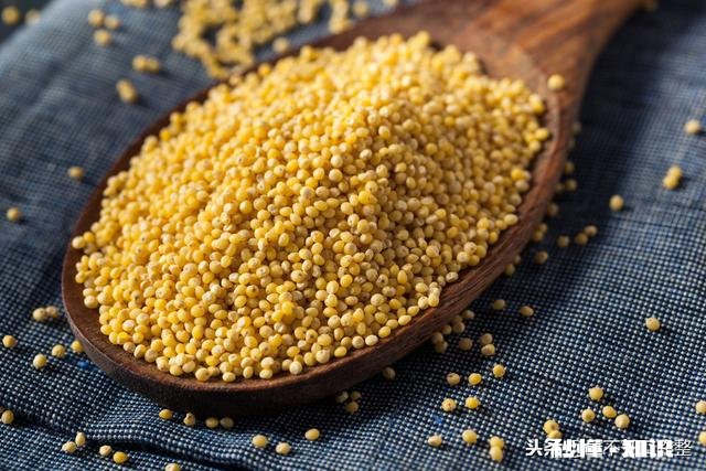 春季钓鲫鱼用什么窝料能快速的诱鱼