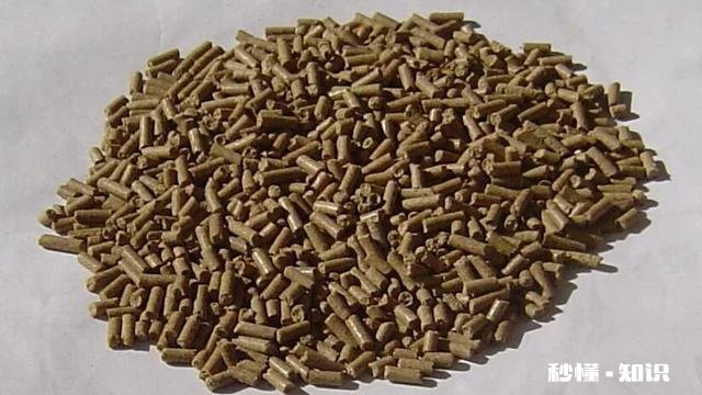 春季钓鲫鱼用什么窝料能快速的诱鱼