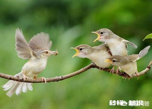 母亲节将至，您或者您身边有没有感动的事