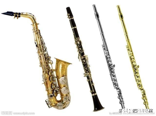 手脚慢的学管弦乐哪种乐器好