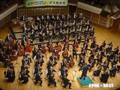 手脚慢的学管弦乐哪种乐器好