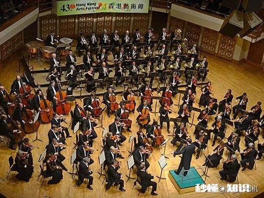 手脚慢的学管弦乐哪种乐器好