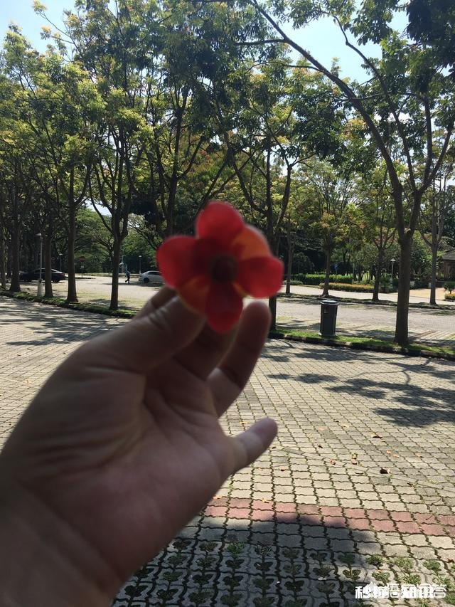 学生得了抑郁症，还能继续留在学校读书吗