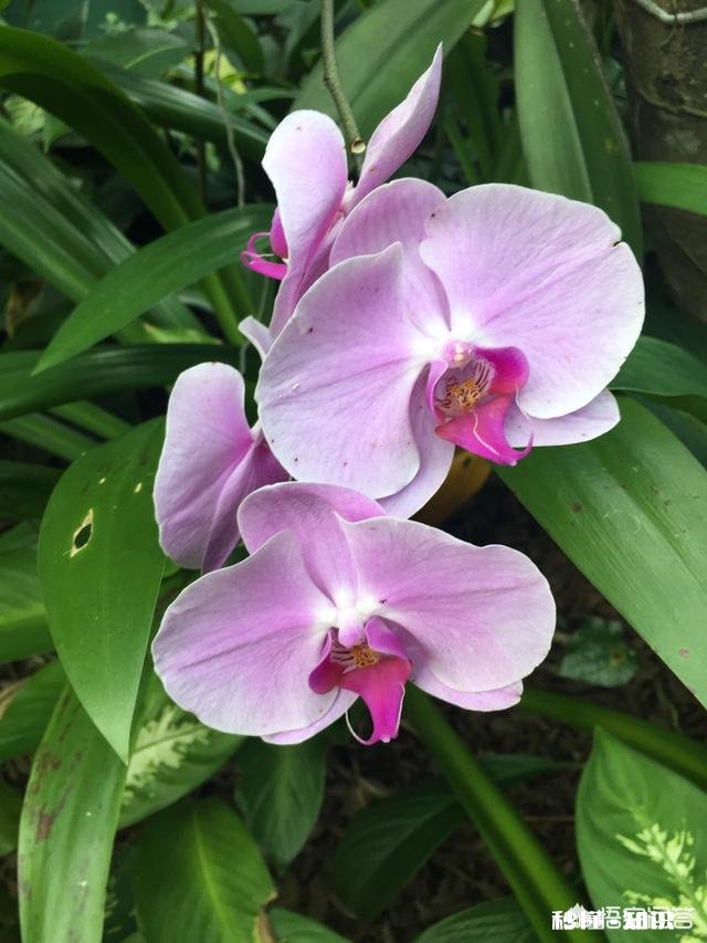 学生得了抑郁症，还能继续留在学校读书吗