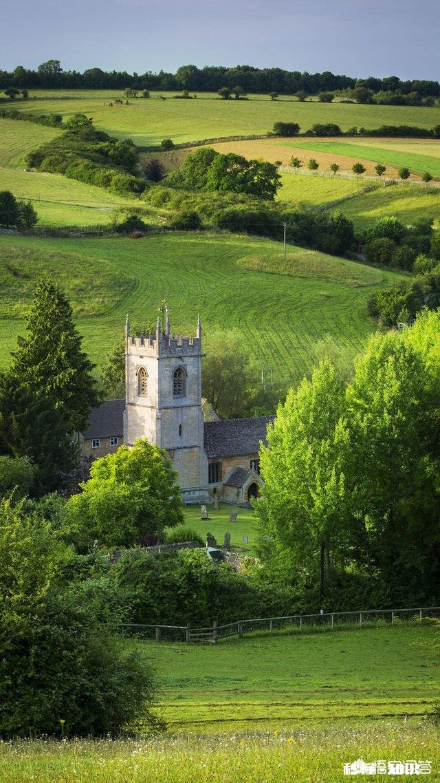请问大家家里炸鱼的油怎么处理