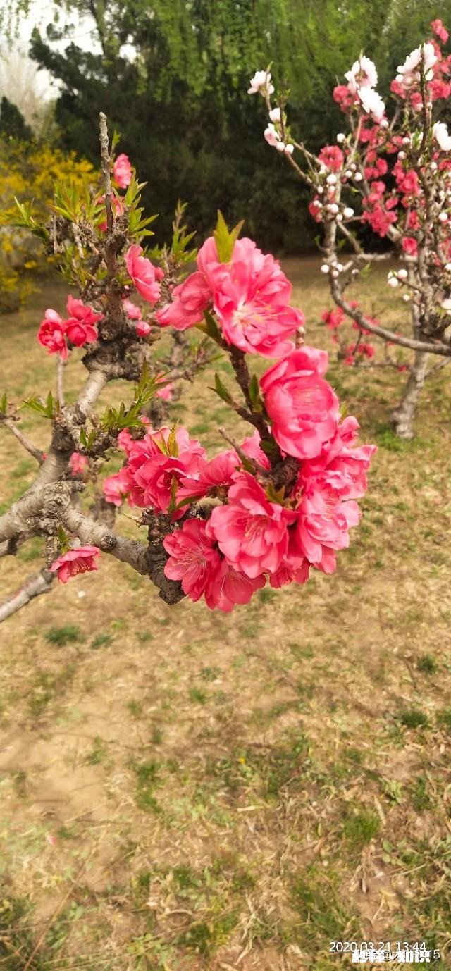 有不注重外表的男生吗