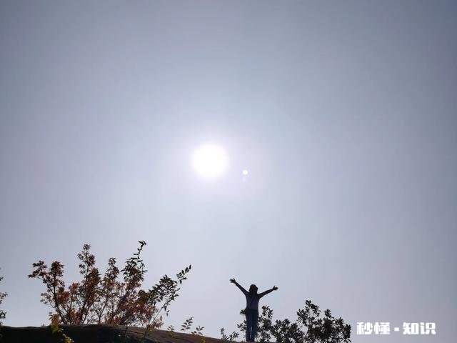 家里有4个子女，父母病了，只有两个孩子管，怎么办