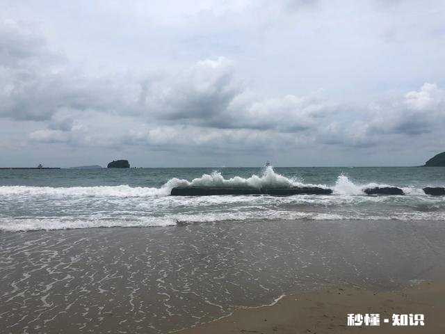 家里有4个子女，父母病了，只有两个孩子管，怎么办