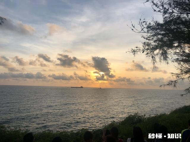 家里有4个子女，父母病了，只有两个孩子管，怎么办