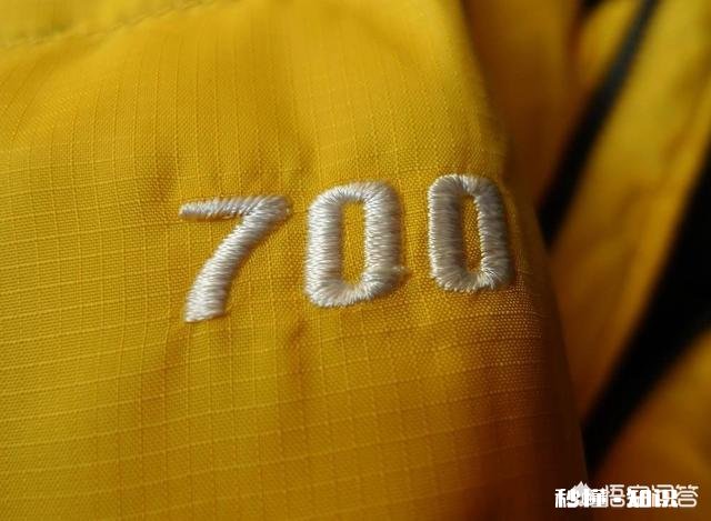 羽绒服吊牌怎么看什么样才算好羽绒服