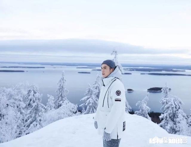 羽绒服吊牌怎么看什么样才算好羽绒服