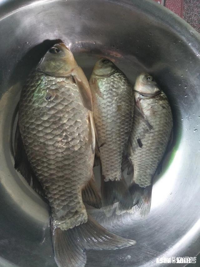 不同水域钓鱼要有不同的调漂方法，钓友们做到位了吗