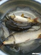 不同水域钓鱼要有不同的调漂方法，钓友们做到位了吗