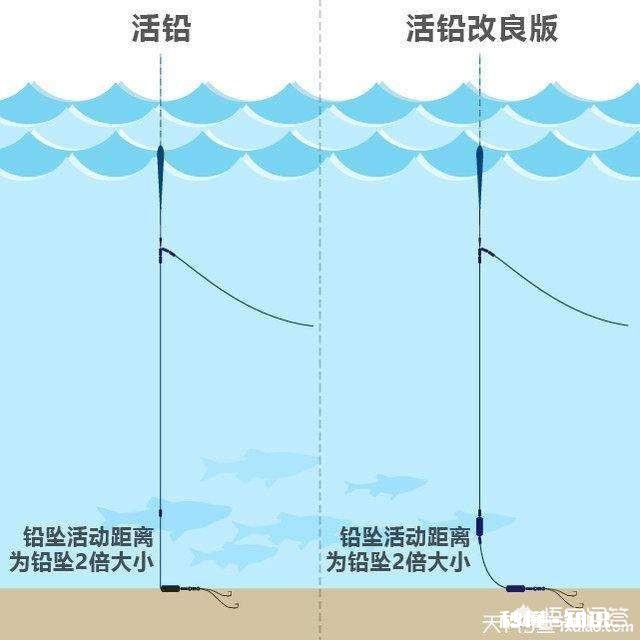 不同水域钓鱼要有不同的调漂方法，钓友们做到位了吗