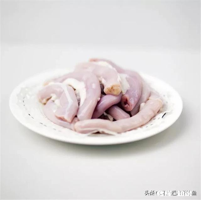 野钓螃蟹用什么饵料