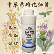 鱼儿奋力跃出水面是为什么