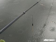 鱼杆抛出去，子线总是回头怎么办