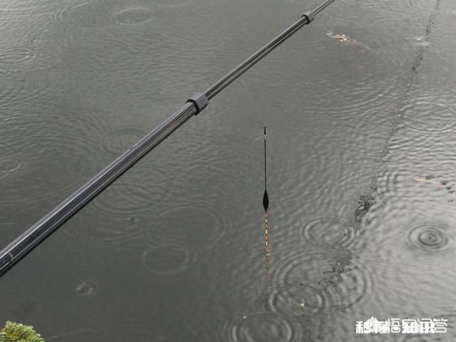 鱼杆抛出去，子线总是回头怎么办