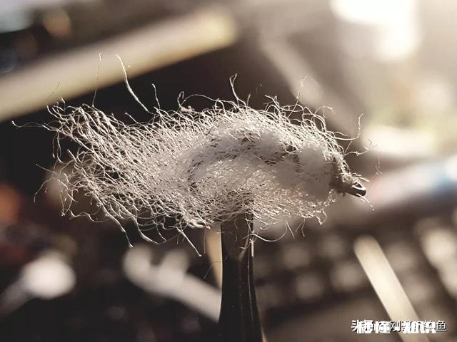 钓鱼时被魚钩扎手，你会去打破伤风针吗