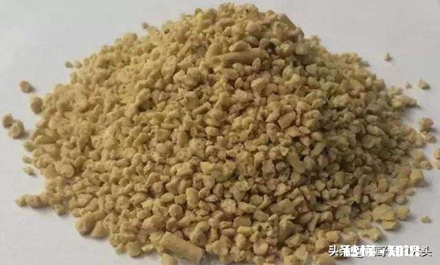 海竿钓花鲢用小鸡饲料怎样