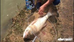 野钓鲢鳙怎么调漂子线多长适合钓浮漂应该怎样选择