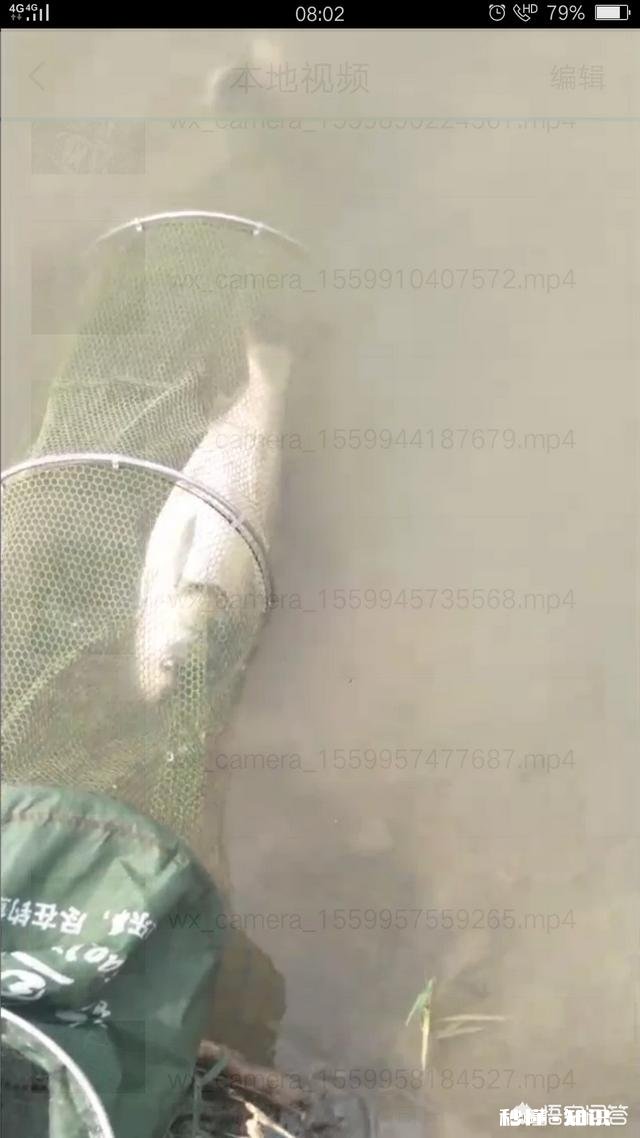 野钓鲢鳙怎么调漂子线多长适合钓浮漂应该怎样选择