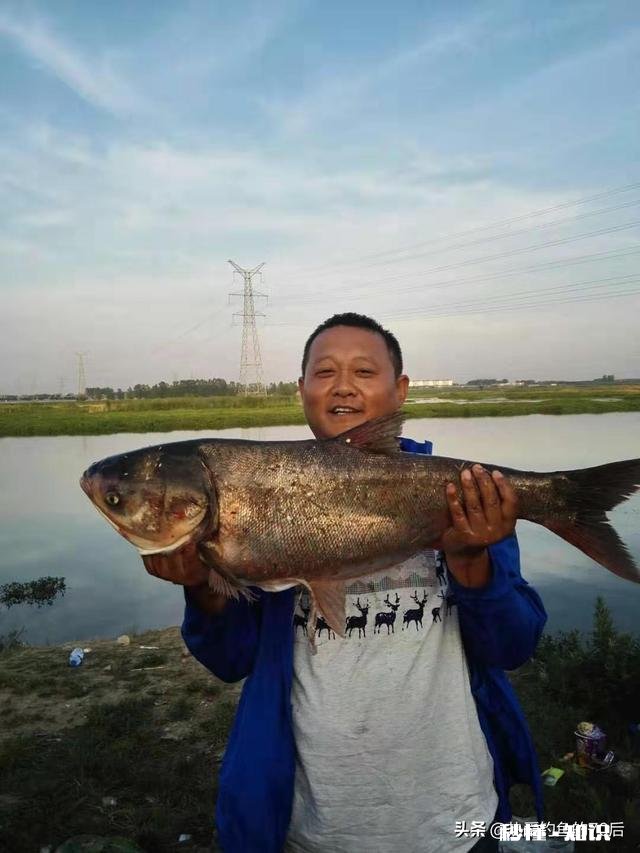 哪个牌子的诱饵上鱼最快