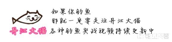 哪个牌子的诱饵上鱼最快