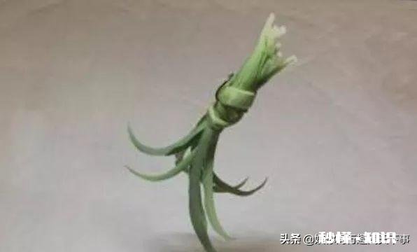 如何用草来钓草鱼