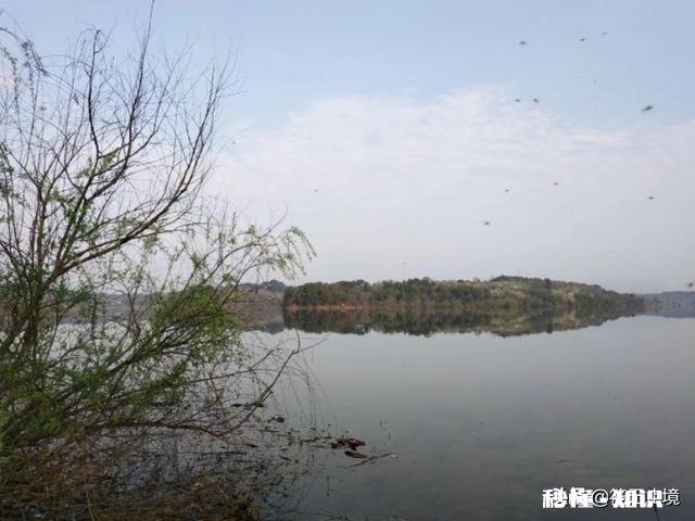 野钓是37调性好还是28调性好，为什么