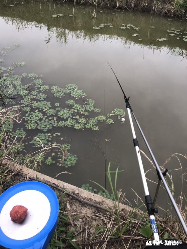 野钓是37调性好还是28调性好，为什么