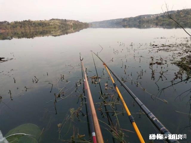 野钓是37调性好还是28调性好，为什么
