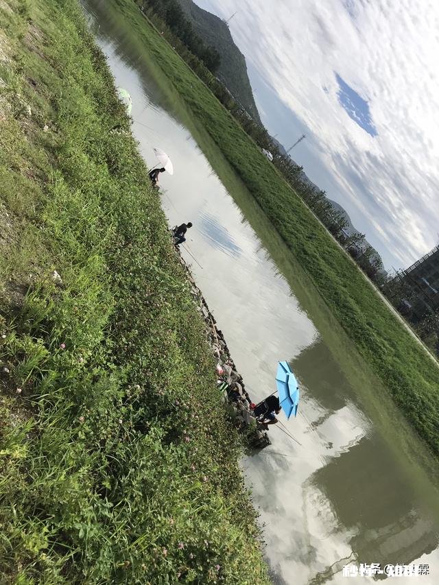 野钓是37调性好还是28调性好，为什么