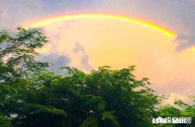 春雨十分宝贵，怎样去歌颂春雨