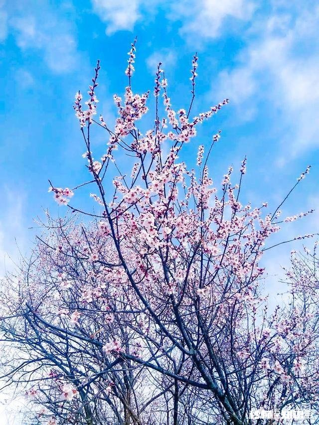 春雨十分宝贵，怎样去歌颂春雨