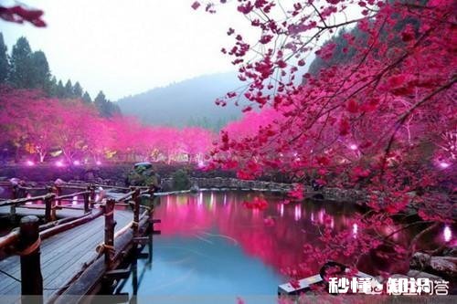 春雨十分宝贵，怎样去歌颂春雨