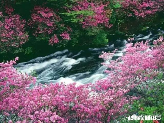 春雨十分宝贵，怎样去歌颂春雨
