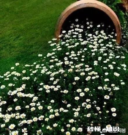 春雨十分宝贵，怎样去歌颂春雨