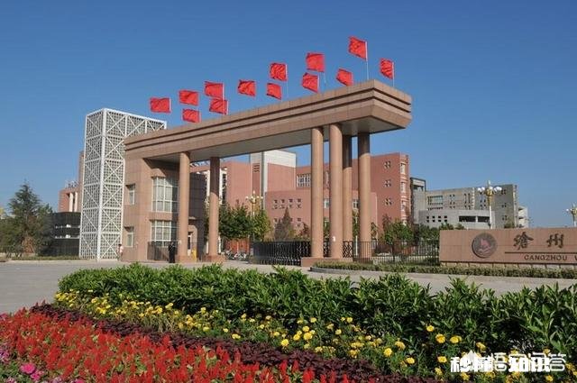 河北2019年考生532分理科生适合报什么学校，有哪些建议谢谢大家