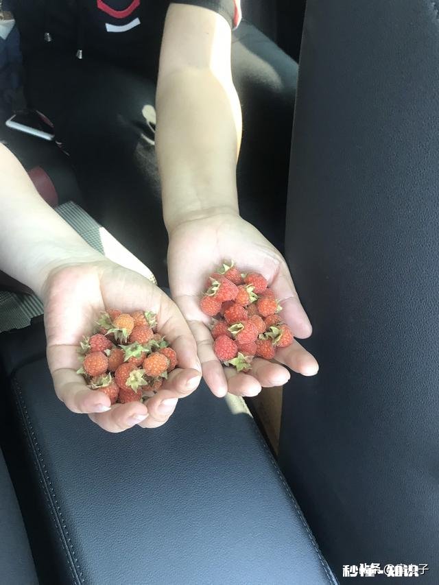 广大的自媒体朋友，从开始到现在有多少人坚持了下来，坚持者目前的成就又如何