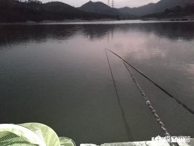 野河夜钓，钓草边还是钓深水