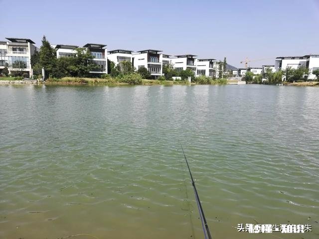 野河夜钓，钓草边还是钓深水