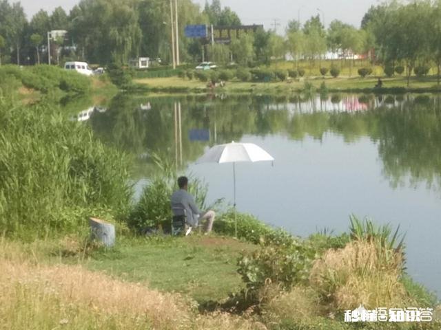 野河夜钓，钓草边还是钓深水