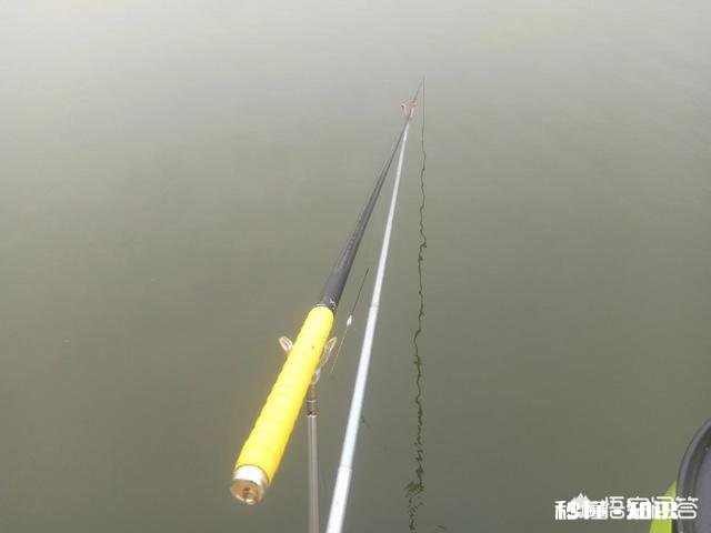 野河夜钓，钓草边还是钓深水