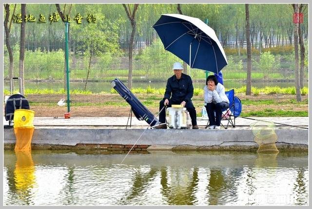 野河夜钓，钓草边还是钓深水