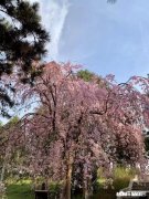 谈了6个月的女朋友不让亲不让抱，亲一下都很嫌弃和躲避。这样的是不是铁渣女