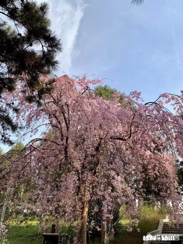 谈了6个月的女朋友不让亲不让抱，亲一下都很嫌弃和躲避。这样的是不是铁渣女