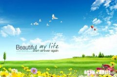 人生最苦的事莫过于日子过得一天不如一天，能怎么办